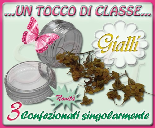 Vasetti fiori secchi - 3, di
