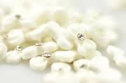 Pezzi cravatta fiocco - pezzi,