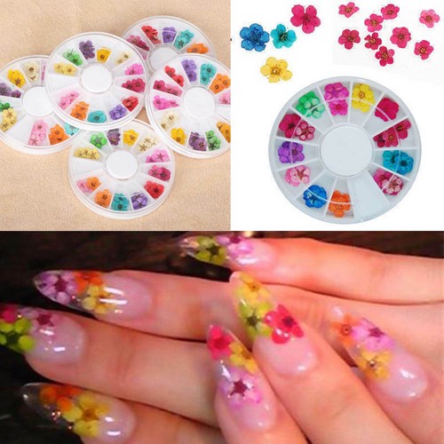 Colori nail art fiori - colori,