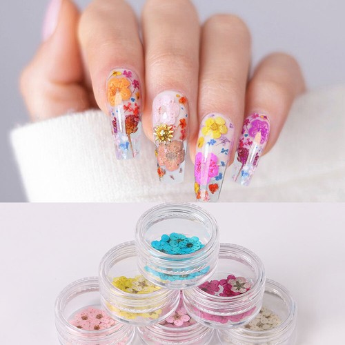 20x manicure fiori secchi - fiori,